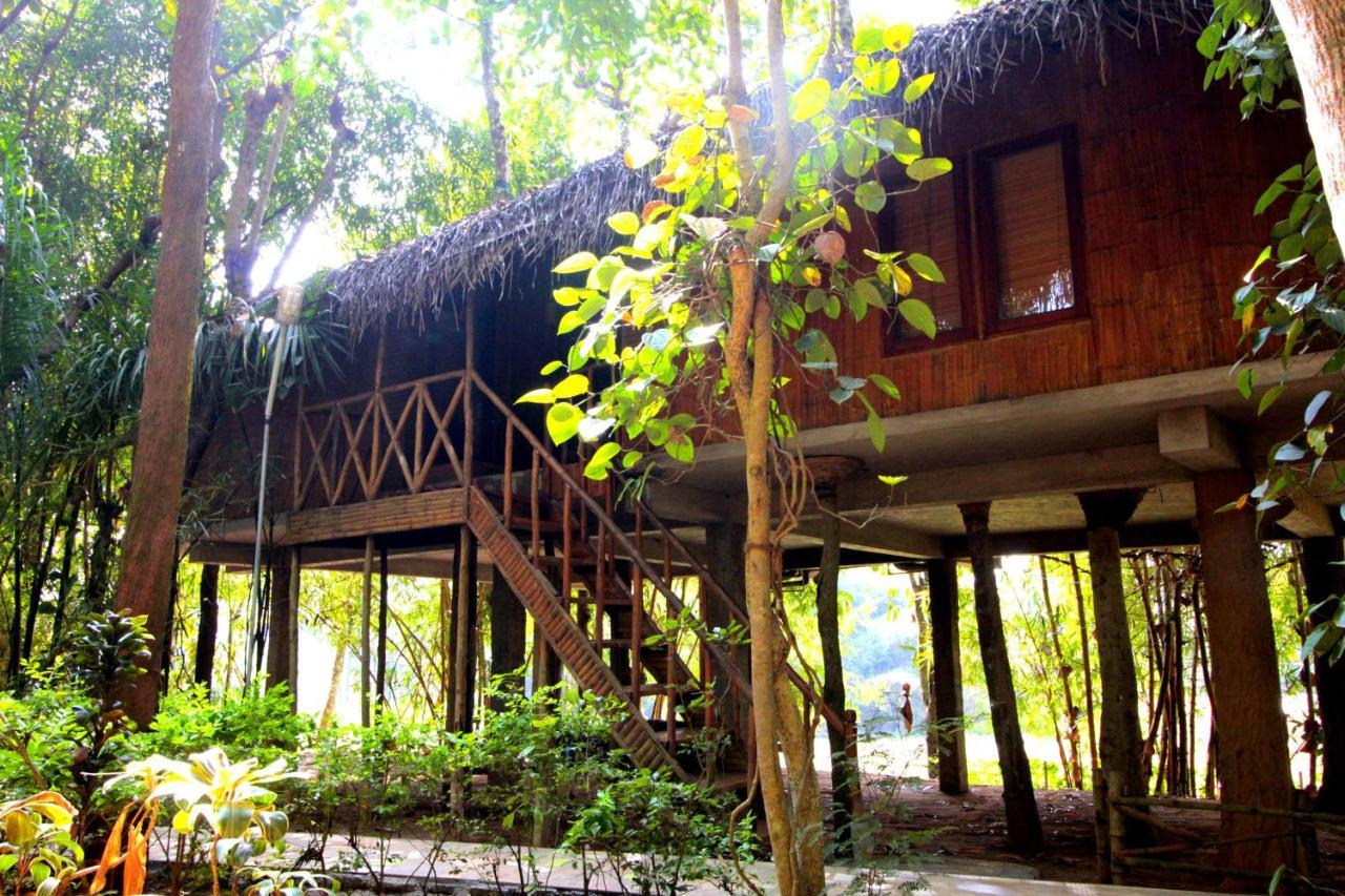 Pepper Green Wayanad Resort With Swimming Pool Kattikkulam エクステリア 写真