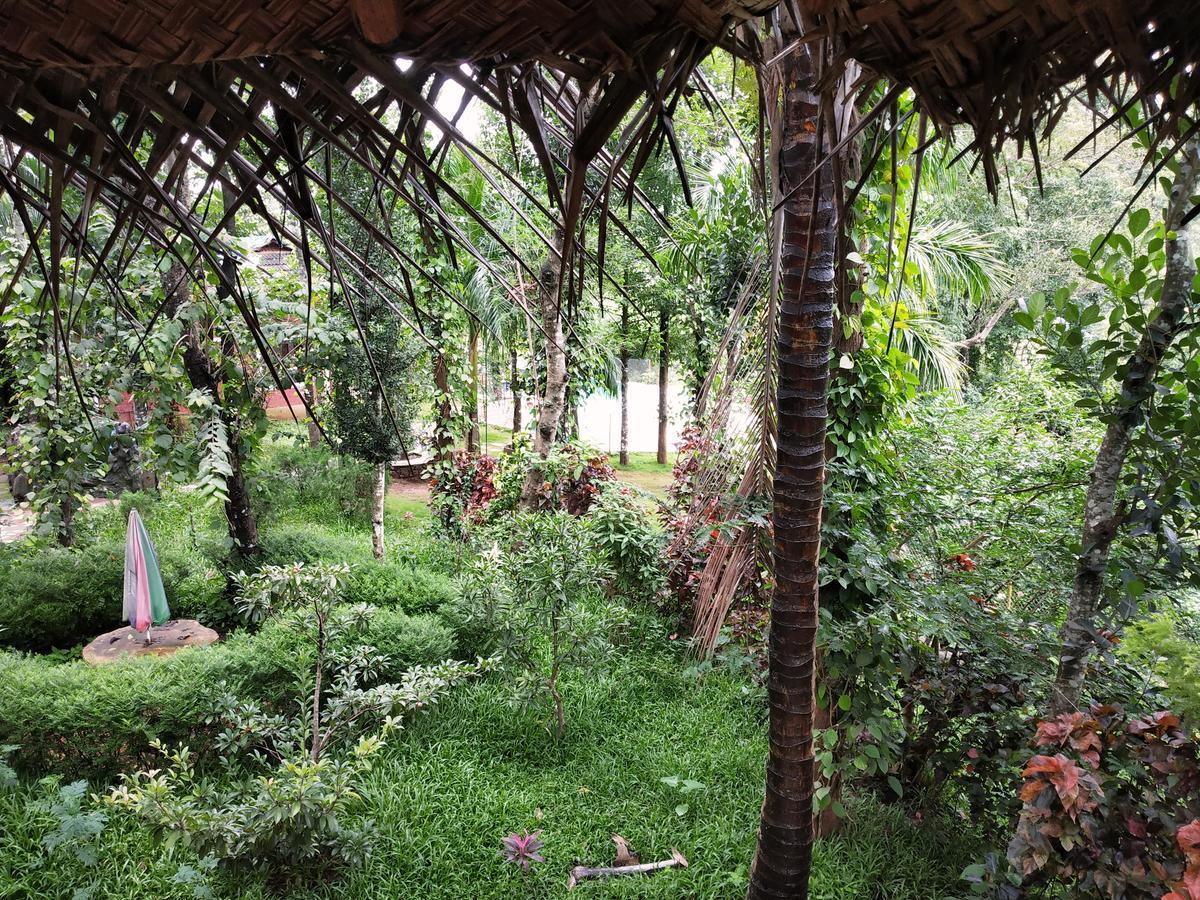 Pepper Green Wayanad Resort With Swimming Pool Kattikkulam エクステリア 写真