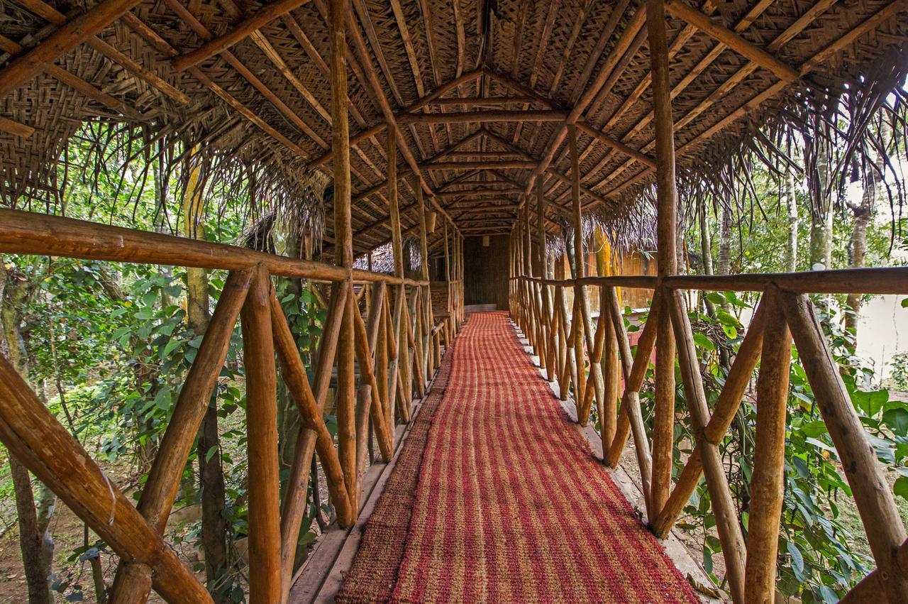 Pepper Green Wayanad Resort With Swimming Pool Kattikkulam エクステリア 写真