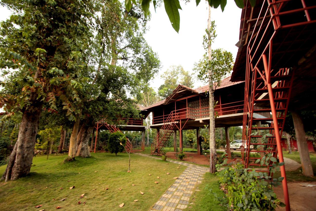 Pepper Green Wayanad Resort With Swimming Pool Kattikkulam エクステリア 写真