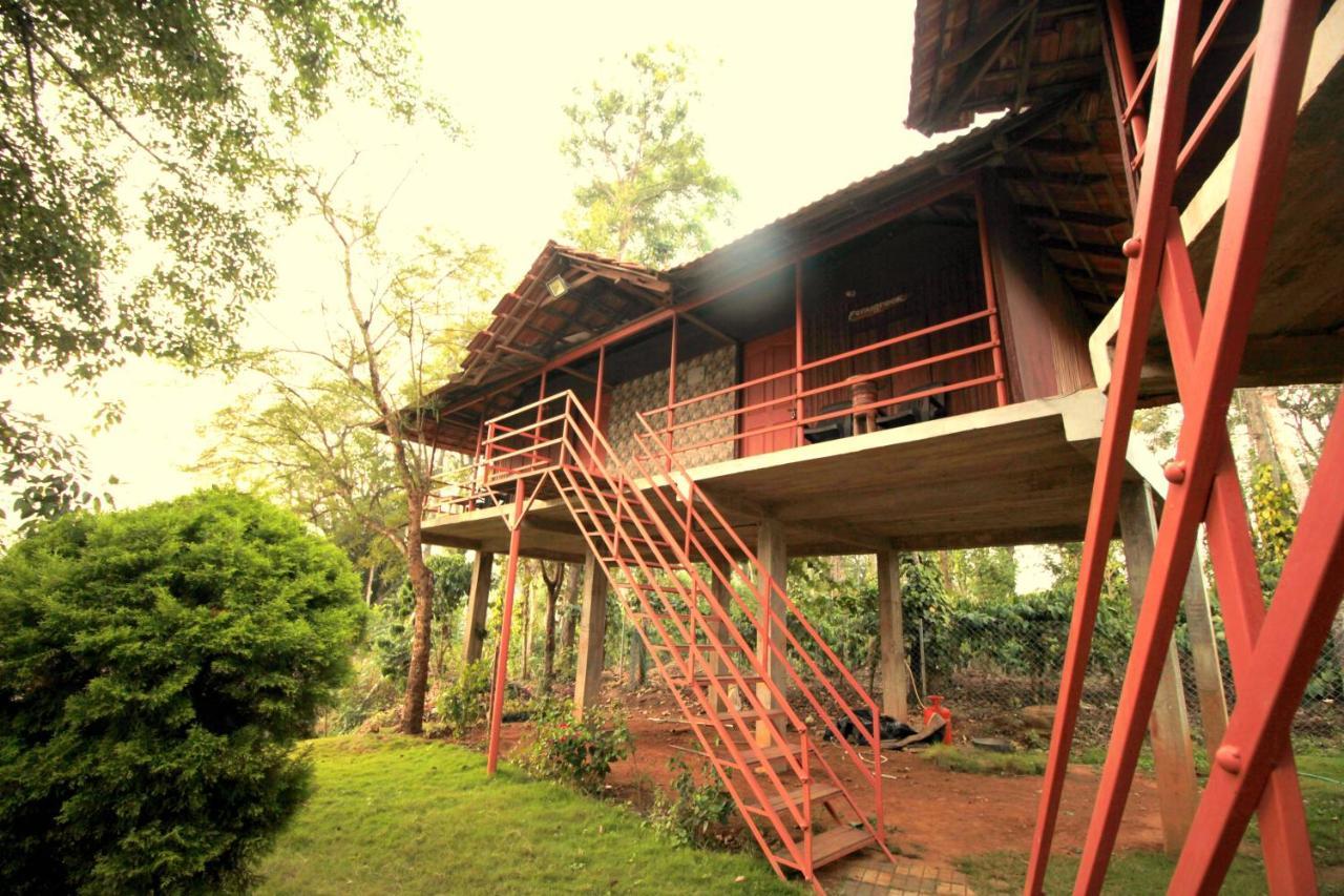 Pepper Green Wayanad Resort With Swimming Pool Kattikkulam エクステリア 写真